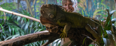 Ausbildung zum Tierpfleger oder zur Tierpflegerin